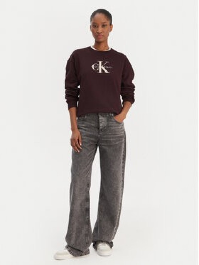 Calvin Klein Jeans Bluza Monologo LV047B234G Brązowy Regular Fit