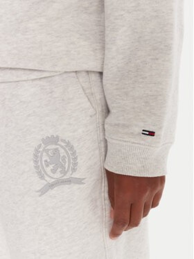 Tommy Jeans Bluza DW0DW21586 Szary Regular Fit