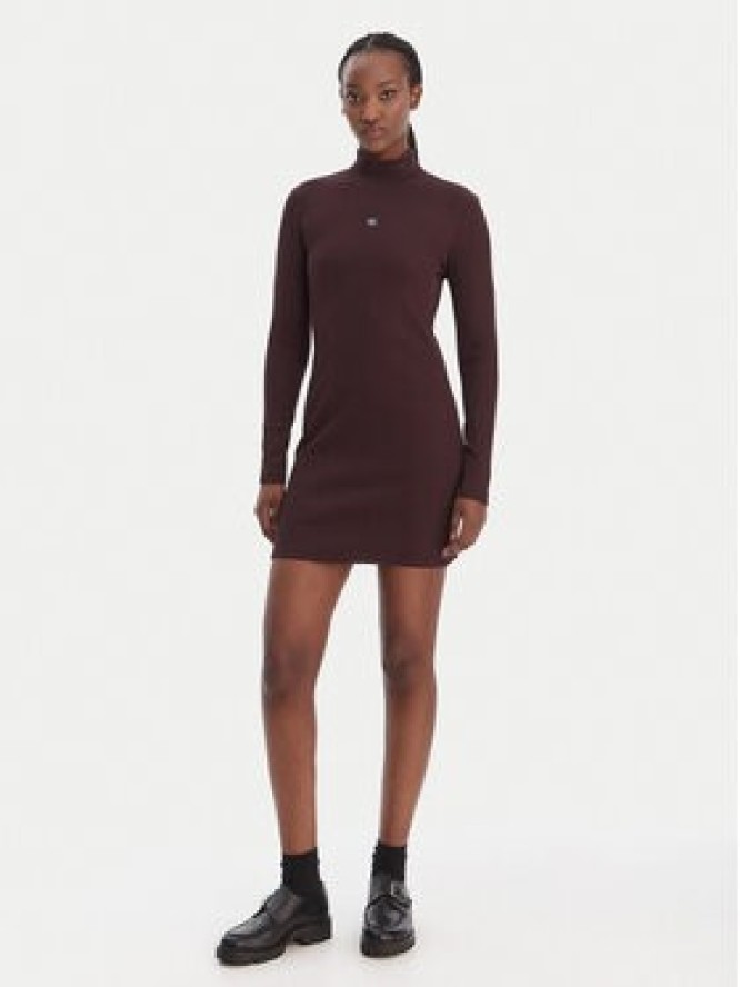 Calvin Klein Jeans Sukienka codzienna LV047E204G Brązowy Slim Fit