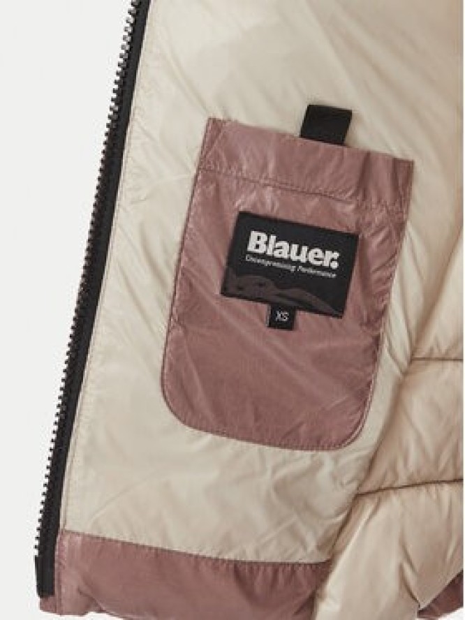 Blauer Kurtka zimowa Caroll 26WBLDC02070 Brązowy Regular Fit