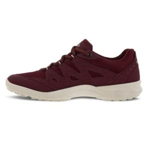 Buty do chodzenia damskie Ecco Terracruise Lt