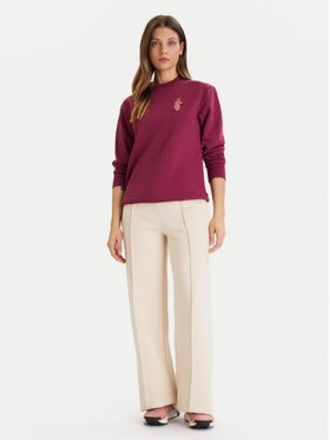 Cotopaxi Bluza Lava Liama Crew F25474W1530 Fioletowy Regular Fit