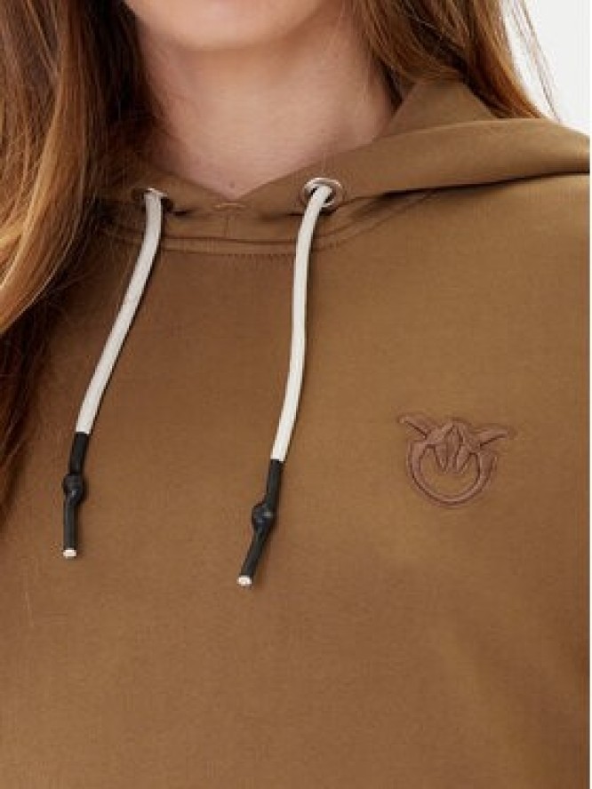 PINKO Bluza Melato 105507 A2RB Brązowy Regular Fit