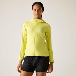 Damska bluza polarowa Huntdale z kapturem i zamkiem błyskawicznym