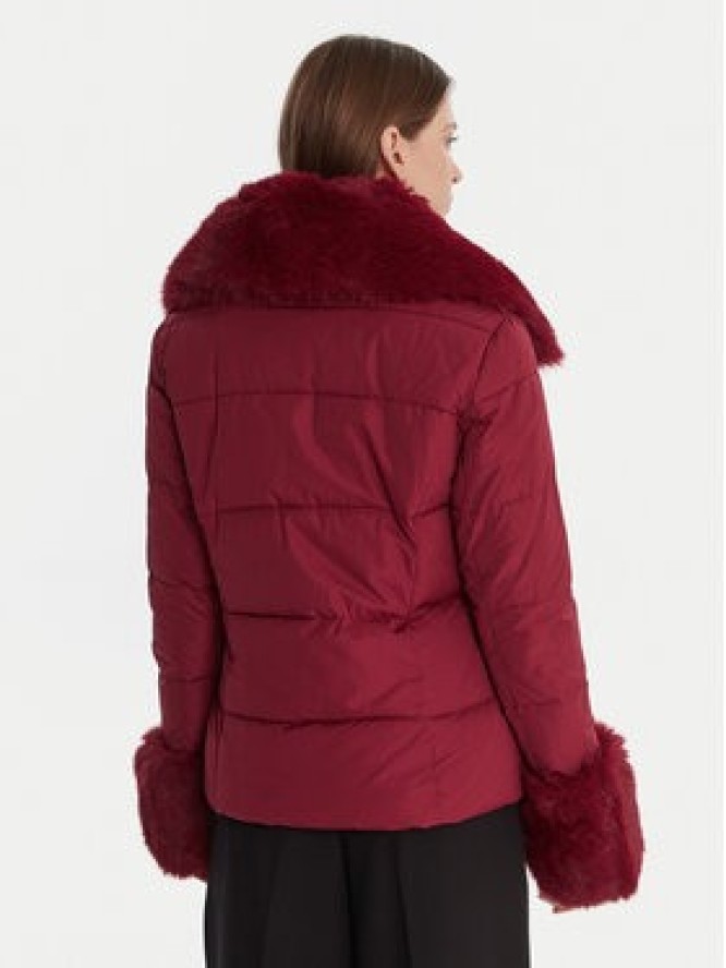 Artigli Kurtka przejściowa ACPM003096 Bordowy Regular Fit