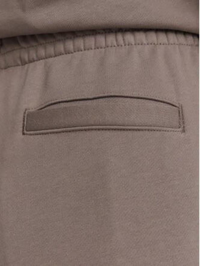 Calvin Klein Jeans Spodnie dresowe Monogram LV047H220G Beżowy ciemny Flare Fit