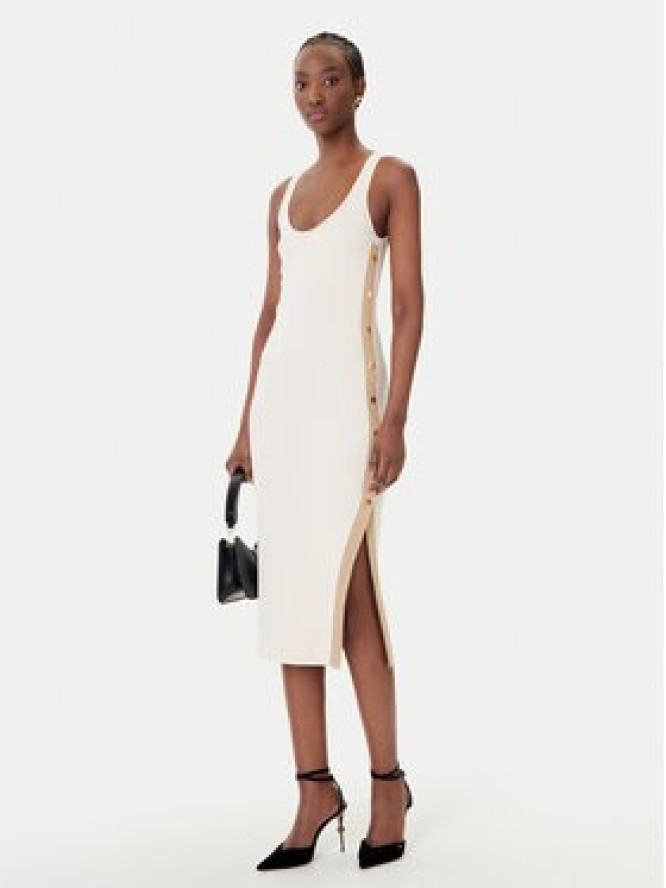 Elisabetta Franchi Sukienka dzianinowa AM-03S-61E2 Beżowy Regular Fit