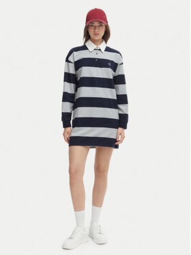 Calvin Klein Jeans Sukienka codzienna LV047F214G Kolorowy Loose Fit