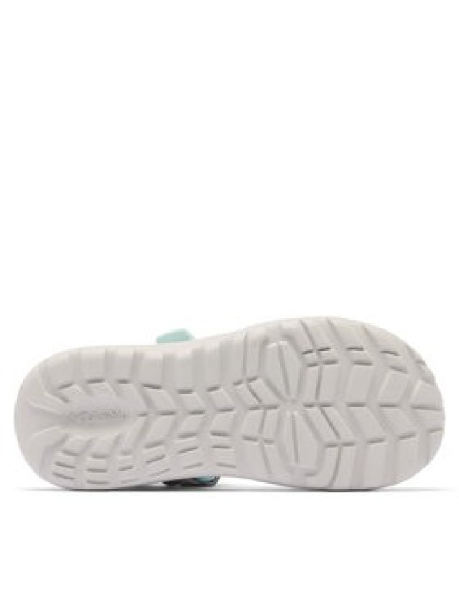 Columbia Sandały Peakfreak Roam™ 2108831 Szary