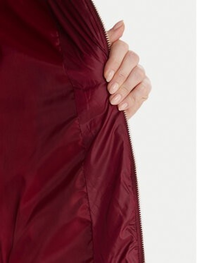 Artigli Kurtka zimowa ACPM002931 Bordowy Regular Fit